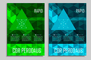 Brochure triangular design