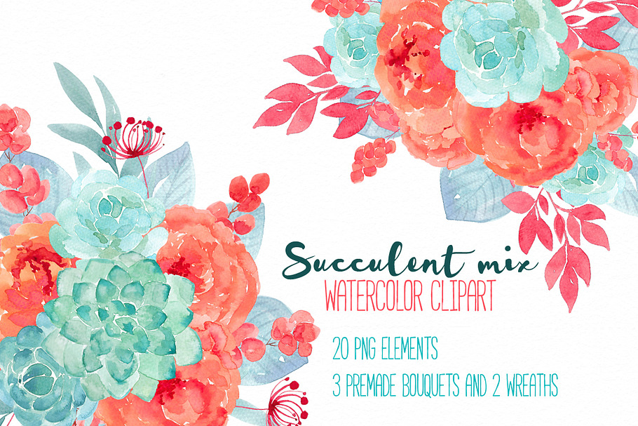 Succulent mix RB-15 in Illustrations - product preview 8