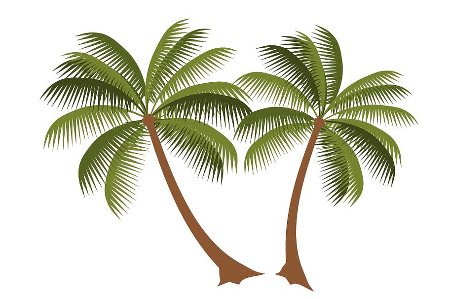 Palm Vector illustration