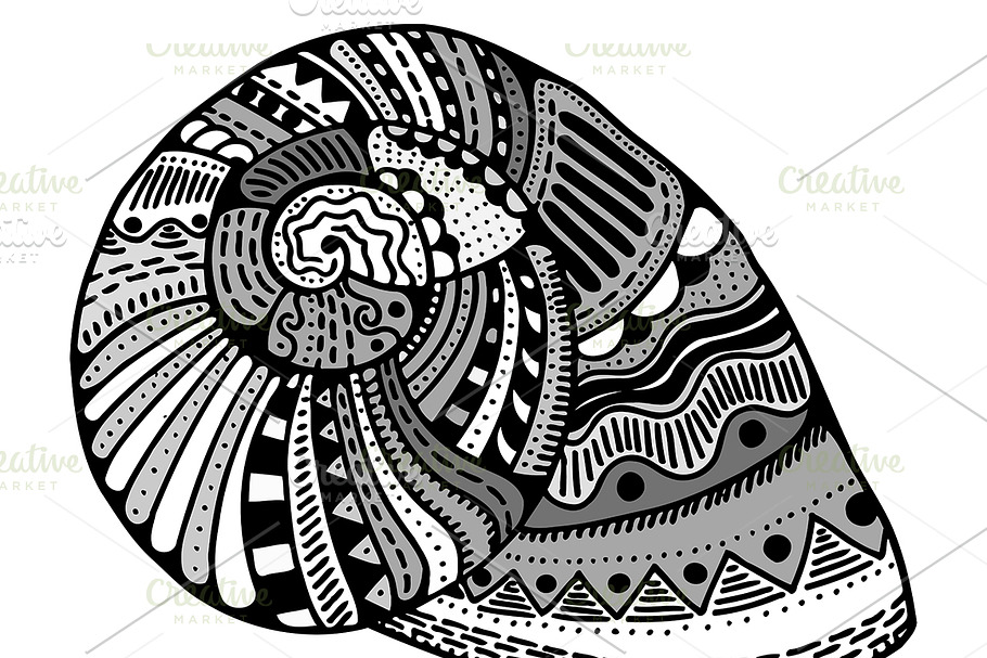 Vector stylized shell in Graphics - product preview 8