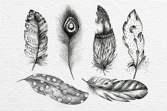 Hand Drawn graphic feather in Illustrations - product preview 1