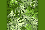 Marijuana background EPS 10