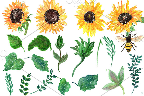 Watercolor sunflowers clipart in Illustrations - product preview 1