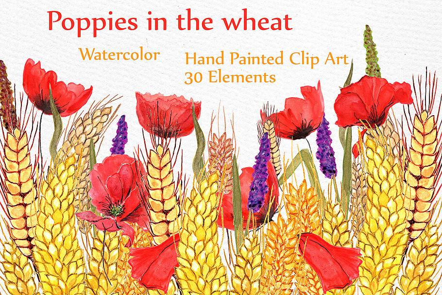 Watercolor poppies clipart