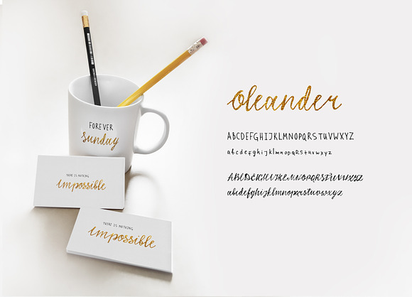 Oleander font (2 versions) in Script Fonts - product preview 3