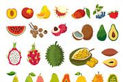 Exotic fruits vector set