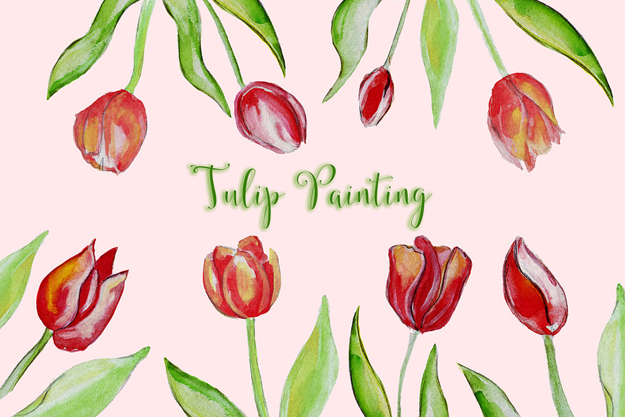 Set of illustrations of tulips