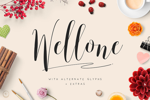 Font & Graphic Bundle - 95% off in Script Fonts - product preview 4