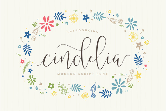 Font & Graphic Bundle - 95% off in Script Fonts - product preview 6