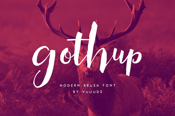 Font & Graphic Bundle - 95% off in Script Fonts - product preview 9