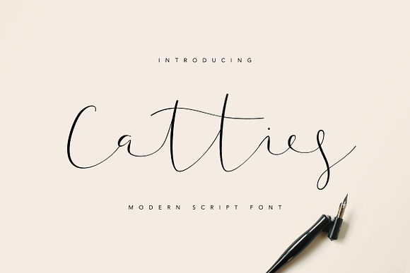 Font & Graphic Bundle - 95% off in Script Fonts - product preview 15