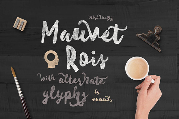 Font & Graphic Bundle - 95% off in Script Fonts - product preview 19