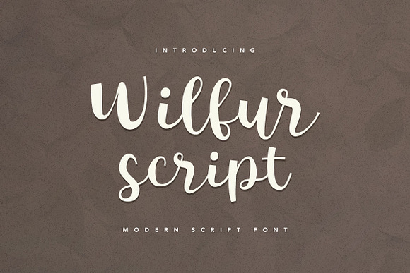 Font & Graphic Bundle - 95% off in Script Fonts - product preview 22