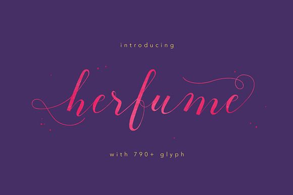 Font & Graphic Bundle - 95% off in Script Fonts - product preview 24