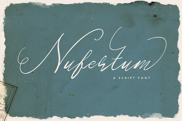 Font & Graphic Bundle - 95% off in Script Fonts - product preview 25