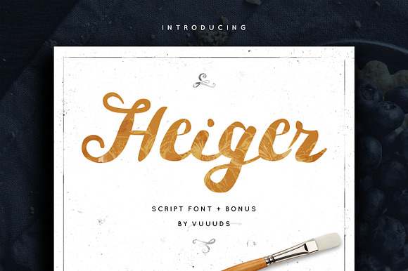 Font & Graphic Bundle - 95% off in Script Fonts - product preview 31