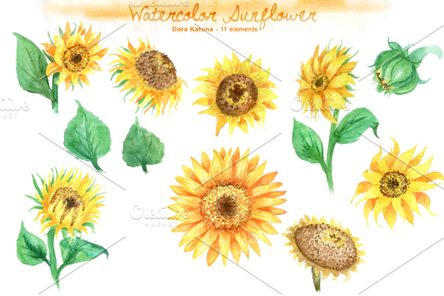 Watercolor Sunflower Set in Illustrations - product preview 8