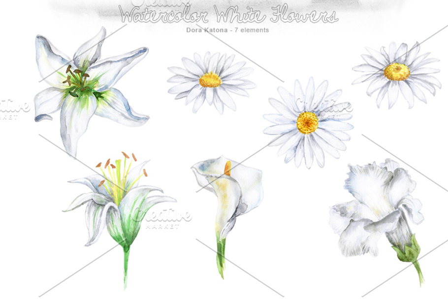 Watercolor White Flower Set