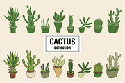 Cactus collection vector