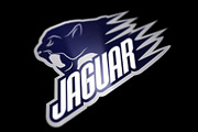 Head Jaguar professional logo 