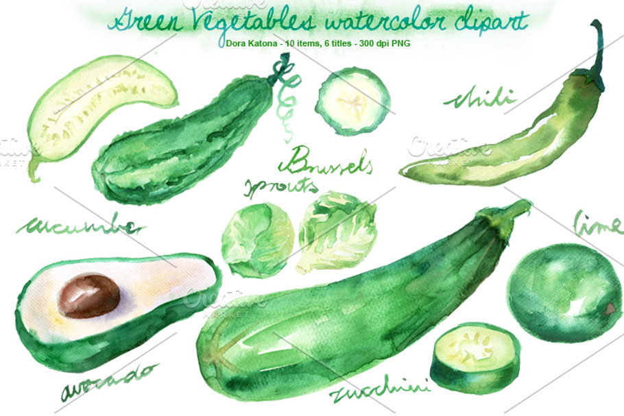 Watercolor Green Vegetable