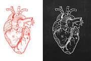 Heart, natural heart, sketch heart 