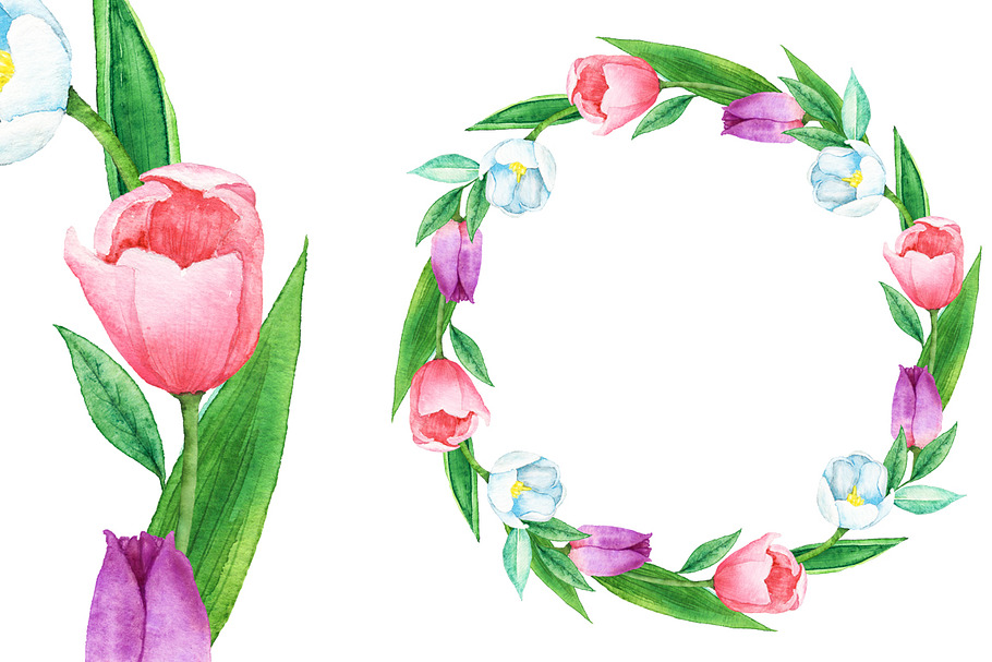 Watercolor Tulip Bouquet & Clipart in Illustrations - product preview 8