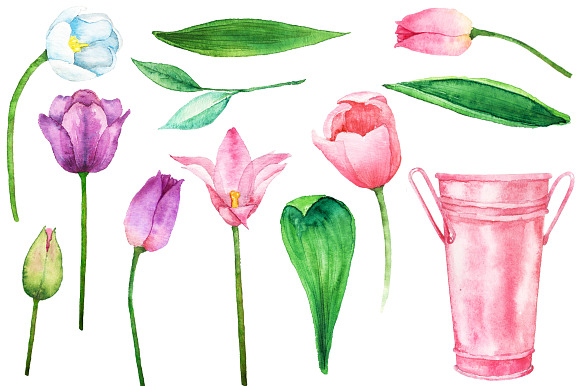 Watercolor Tulip Bouquet & Clipart in Illustrations - product preview 1