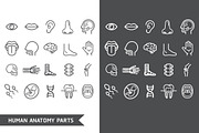 Human Anatomy Body Parts Icons