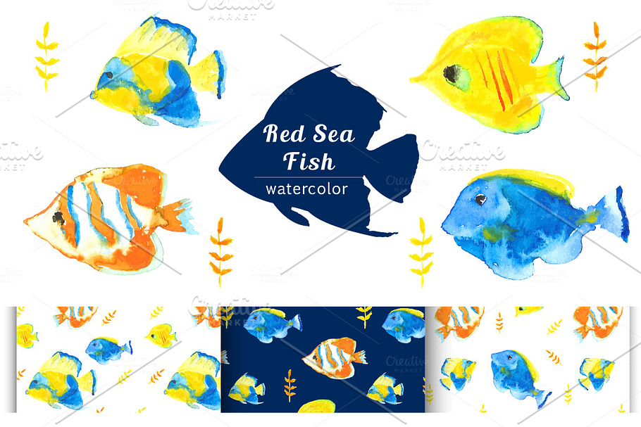 Red Sea Fish in Illustrations - product preview 8