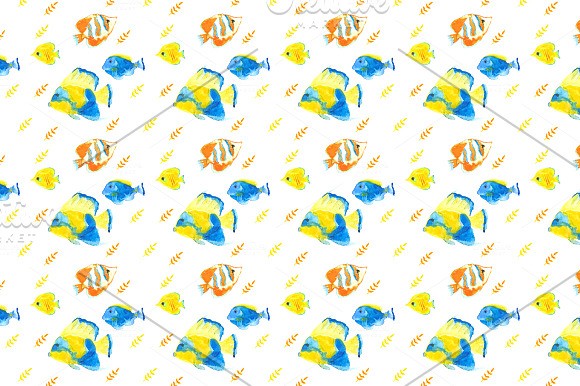 Red Sea Fish in Illustrations - product preview 1