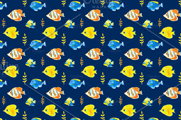 Red Sea Fish in Illustrations - product preview 2