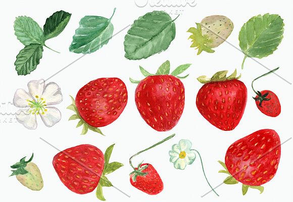 15 Watercolor Strawberries Clip Art in Objects - product preview 1