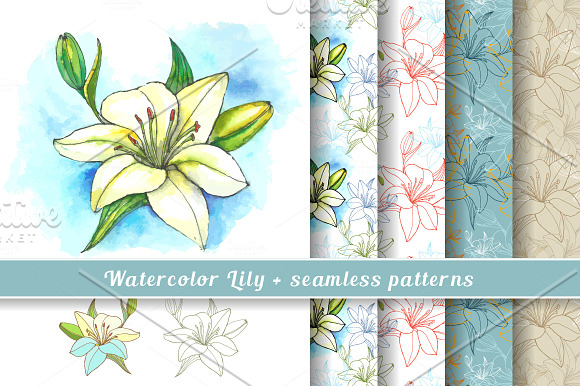 Watercolor Lily in Illustrations - product preview 4