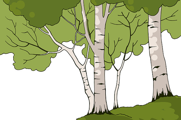 Birch Trees in Illustrations - product preview 1