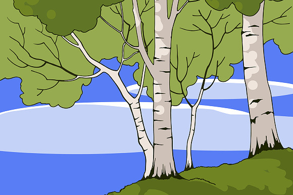 Birch Trees in Illustrations - product preview 2