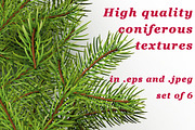 High quality coniferous textures set