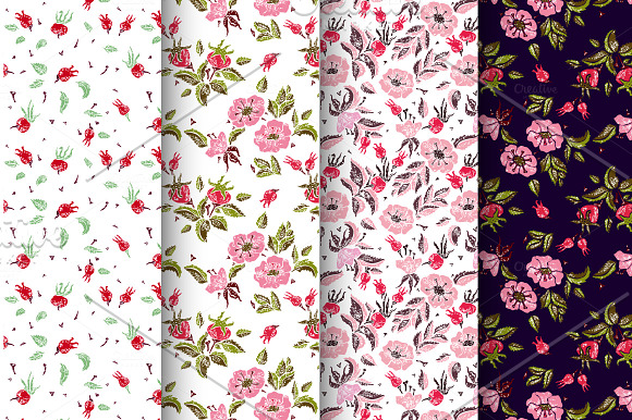 Wild-Wild-Rose in Illustrations - product preview 1