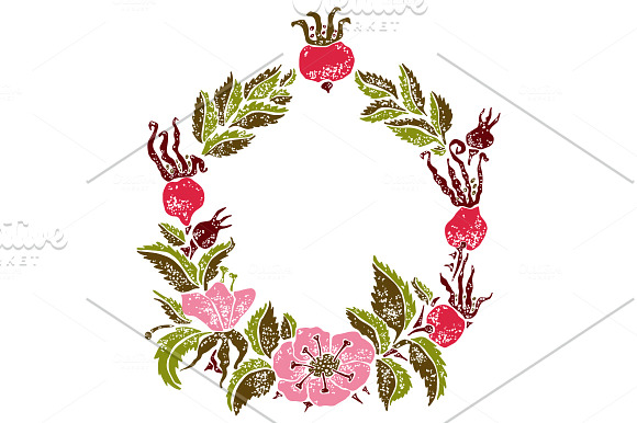 Wild-Wild-Rose in Illustrations - product preview 2