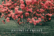 Physalis - Lightroom preset