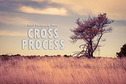 Cross Process - Lightroom presets