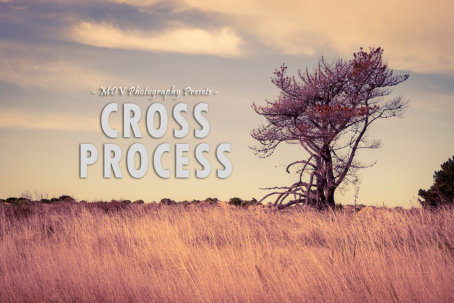 Cross Process - Lightroom presets in Photoshop Plugins - product preview 8