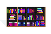 Large Bookcase with Different Books