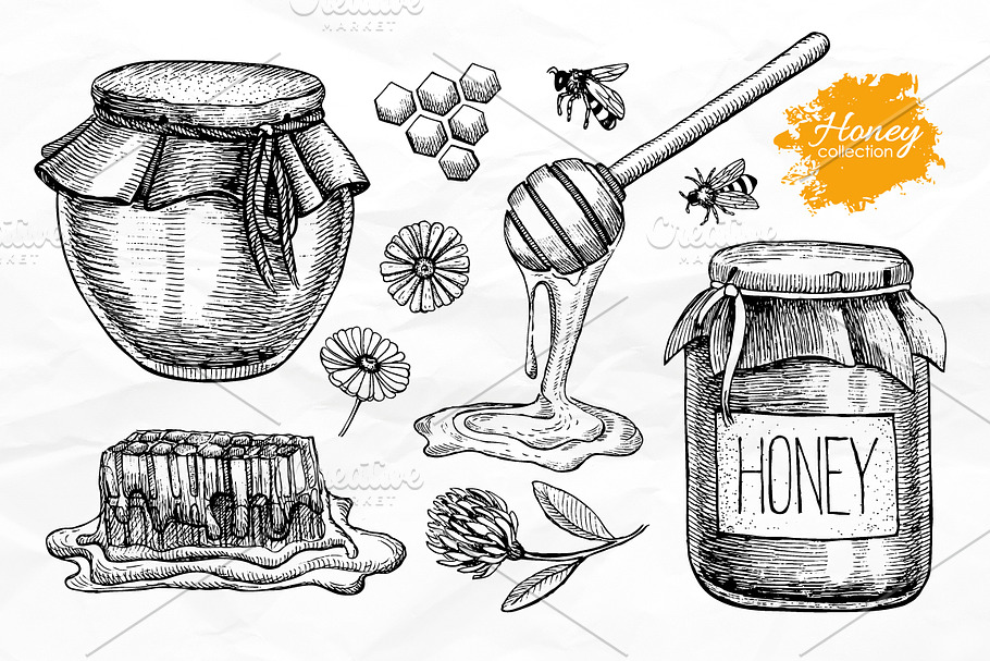Honey Set. Hand Drawn Illustrations
