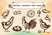 Vintage chicken and eggs