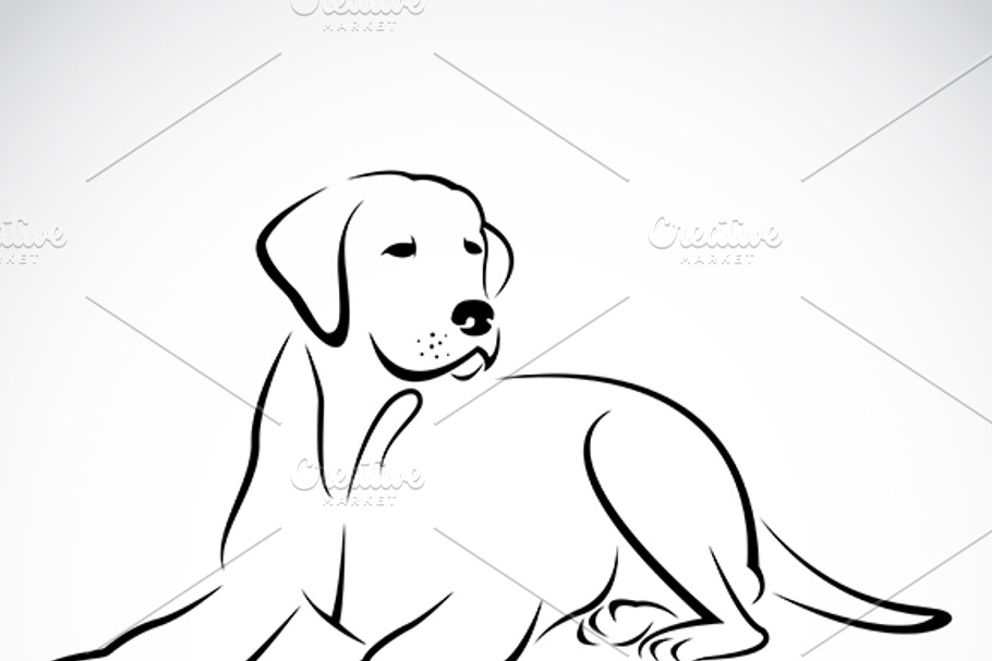 Vector of an dog labrador. Pet. in Dog Icons - product preview 8