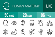50 Human Anatomy Line Icons
