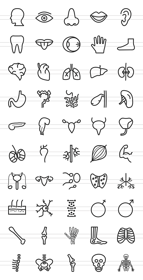 50 Human Anatomy Line Icons in Graphics - product preview 1