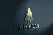 Pine Cedar Tree Logo 10 % discount