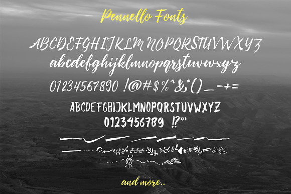 Pennello Script in Script Fonts - product preview 9